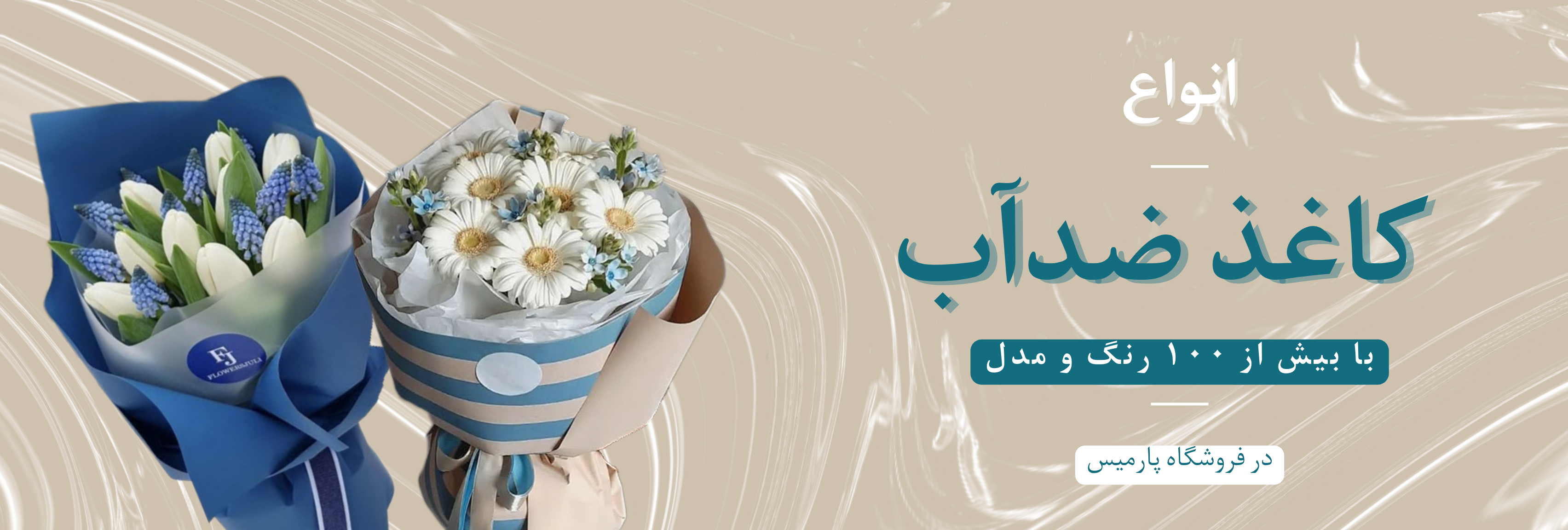 پارمیس